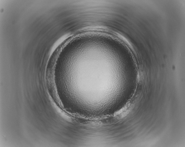 X0000071971050200607071513