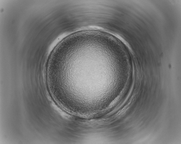 X0000071971054200607071513