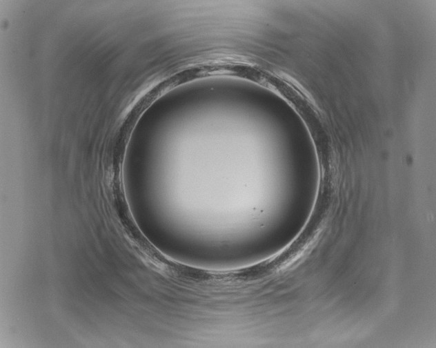 X0000071971065200607071512