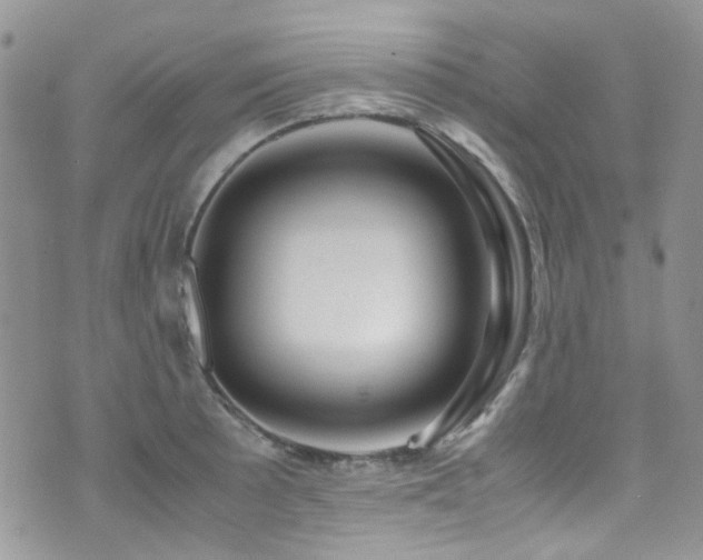X0000071971089200607071511