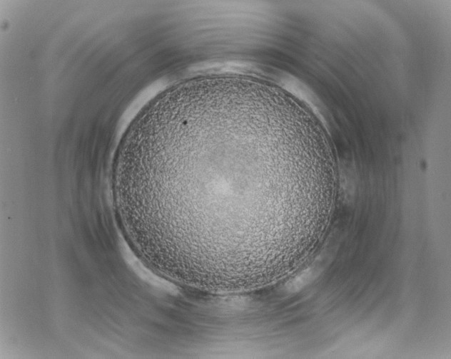 X0000071971090200607071511