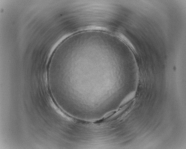 X0000071971092200607071511