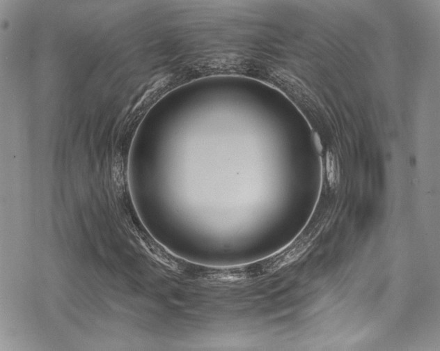 X0000071971107200607071510