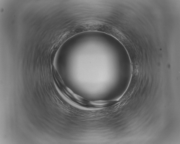 X0000071971108200607071511