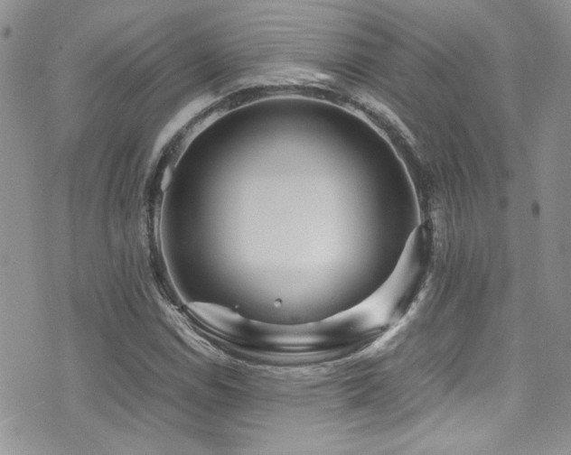 X0000071971114200607071511