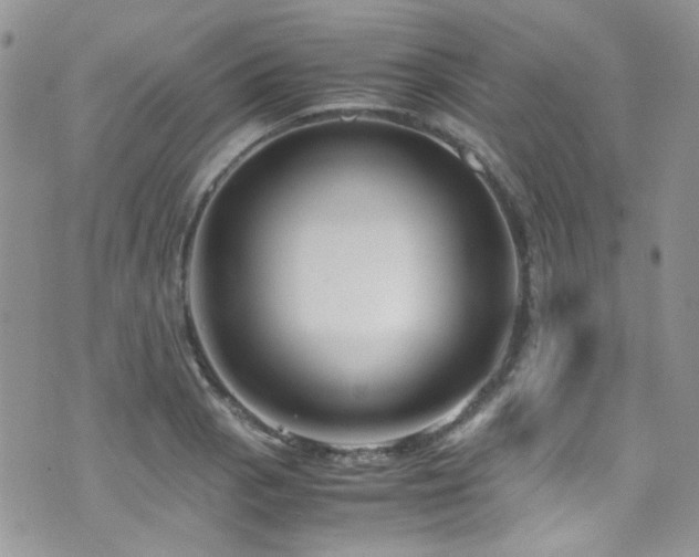 X0000071971129200607071511