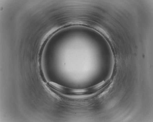 X0000071971133200607071511