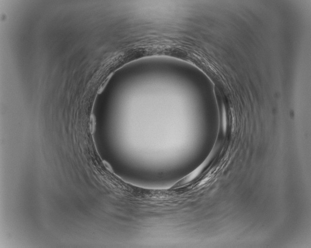 X0000071971153200607071510