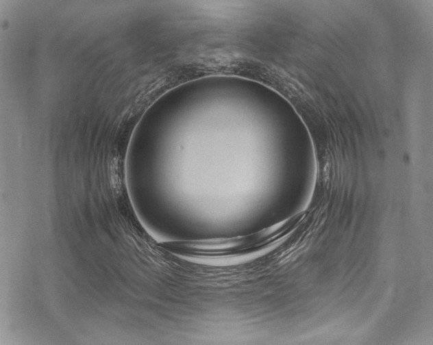 X0000071971156200607071510