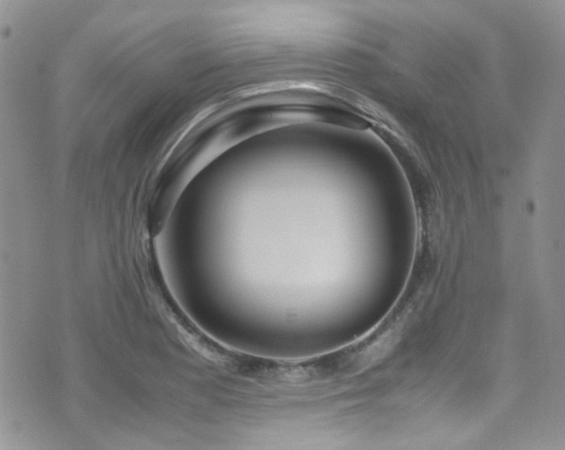 X0000071971177200607071510