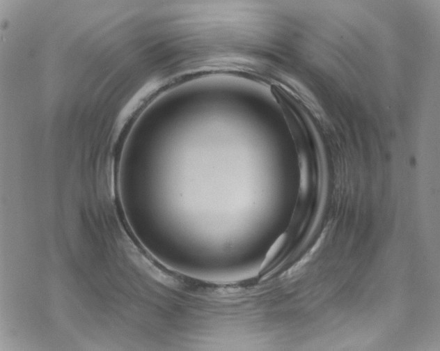X0000071971180200607071510