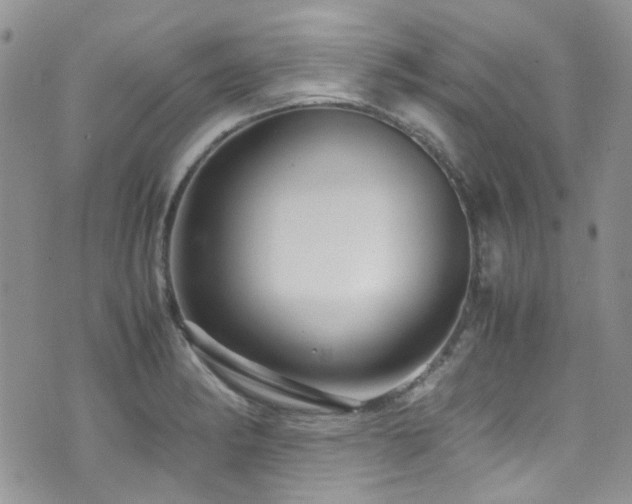 X0000071971182200607071510