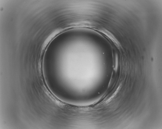 X0000071971196200607071510
