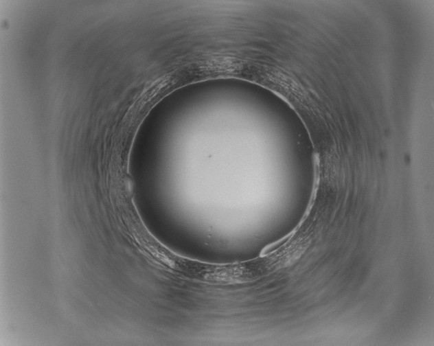 X0000071971201200607071509