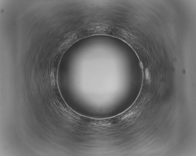 X0000071971203200607071509