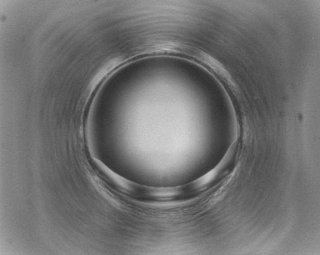 X0000071971234200607071509