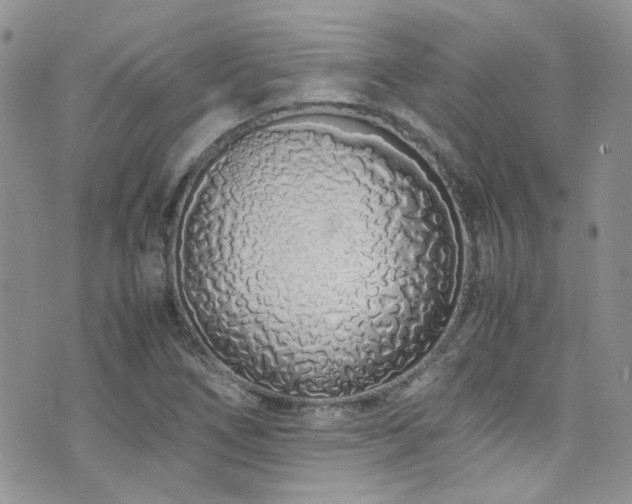 X0000071971266200607071509