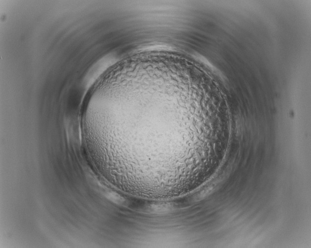 X0000071971274200607071508