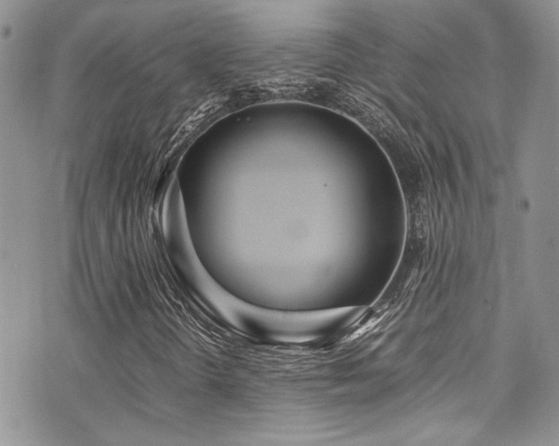 X0000071971298200607071507