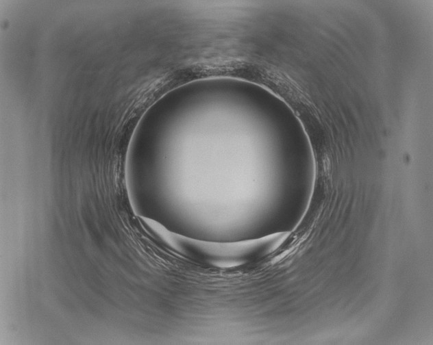 X0000071971300200607071507