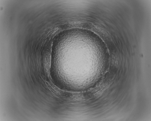 X0000071971346200607071507