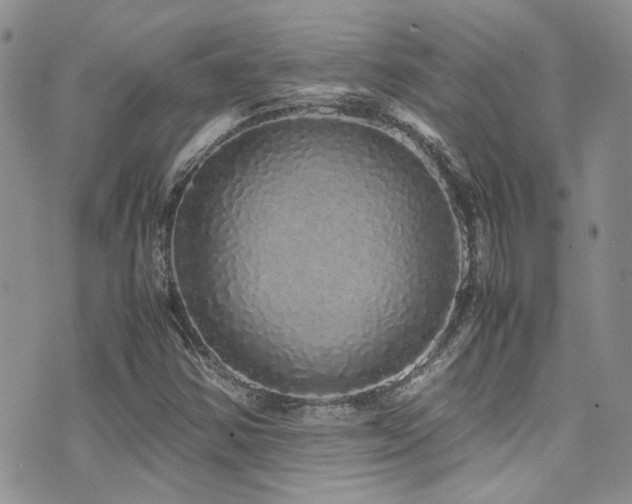 X0000071971354200607071507