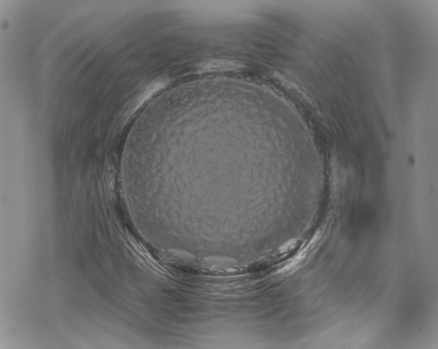 X0000071971401200607071506