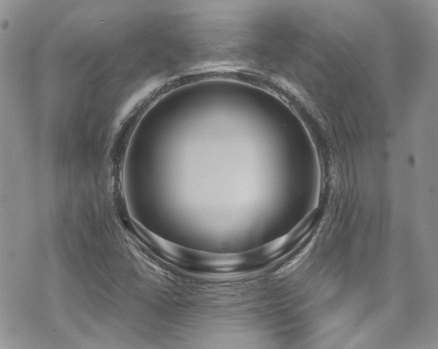X0000071971406200607071506