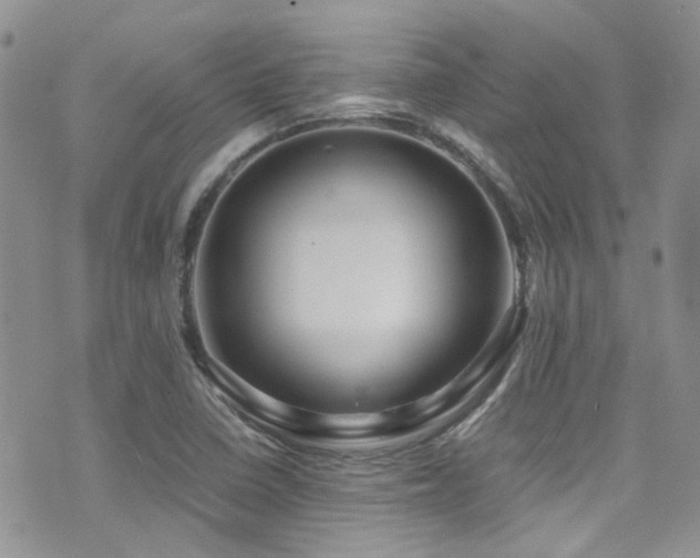 X0000071971410200607071506