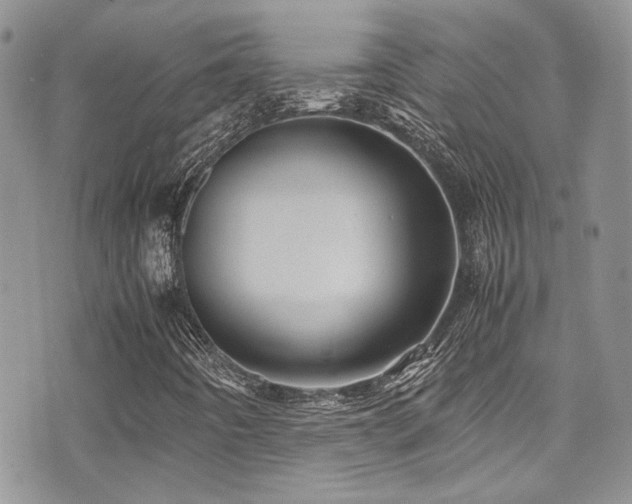 X0000071971442200607071506