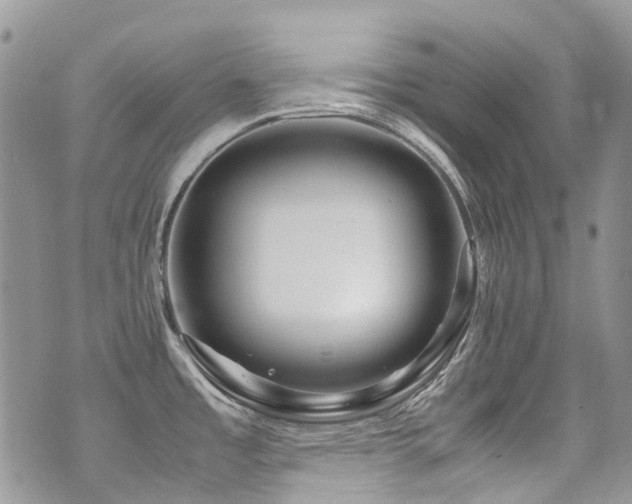 X0000071971485200607071505