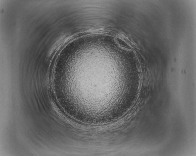 X0000071970002200607141511