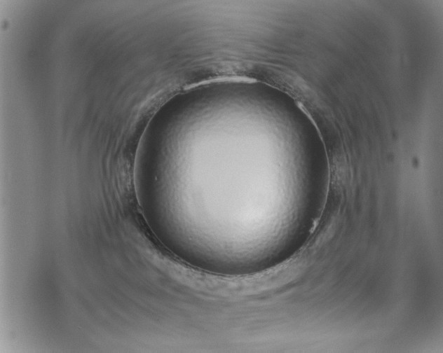 X0000071970043200607141510