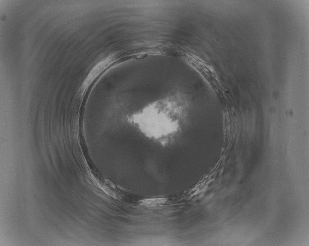 X0000071970051200607141510