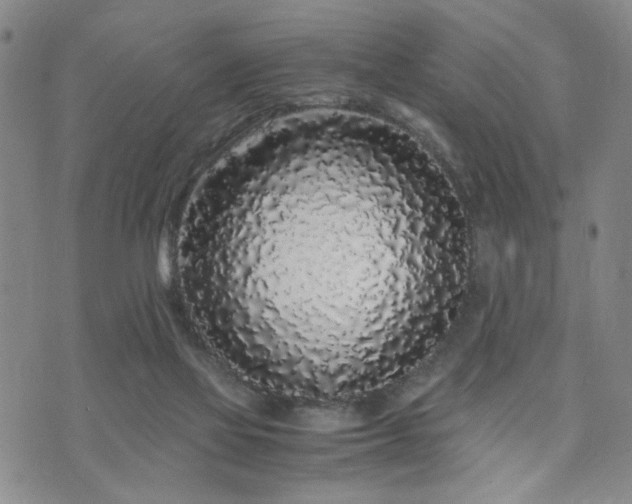 X0000071970069200607141510