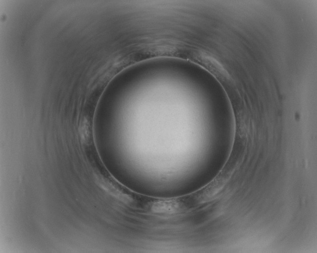 X0000071970077200607141510