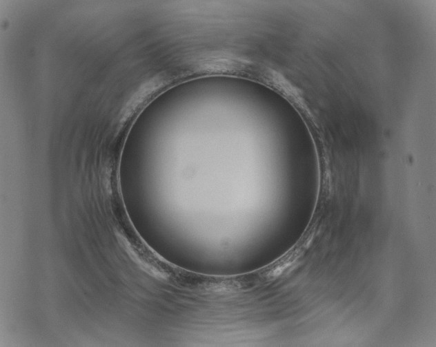 X0000071970106200607141509