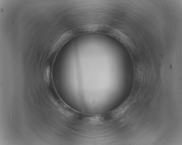 X0000071970118200607141509