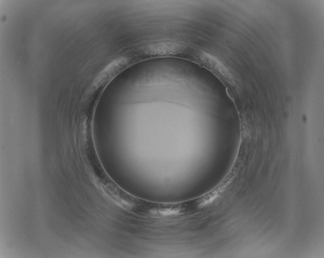 X0000071970163200607141508
