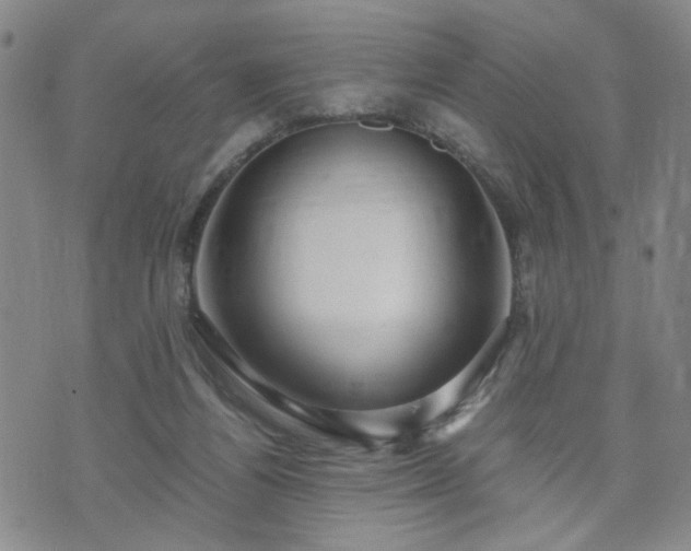 X0000071970164200607141508
