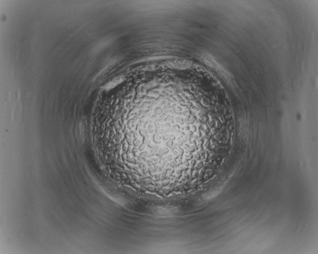 X0000071970165200607141508