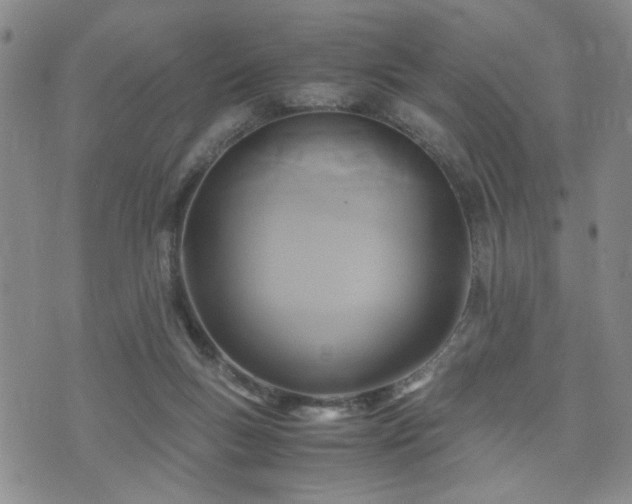X0000071970167200607141508