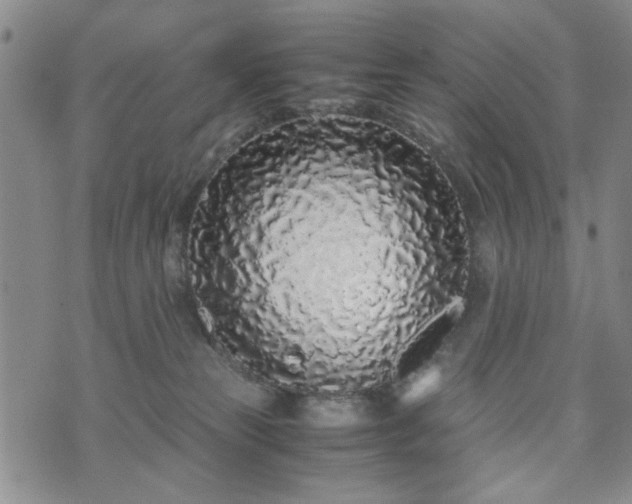 X0000071970181200607141509