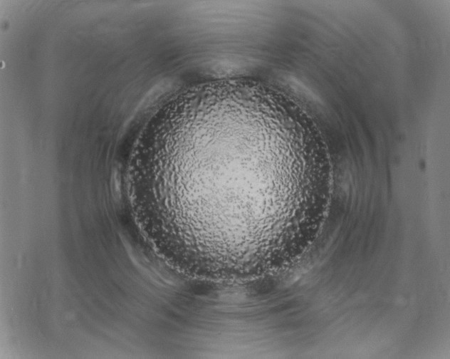 X0000071970214200607141508