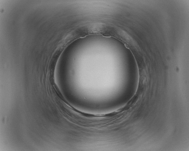 X0000071970217200607141508