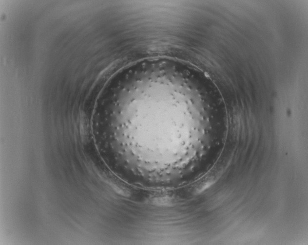 X0000071970228200607141507
