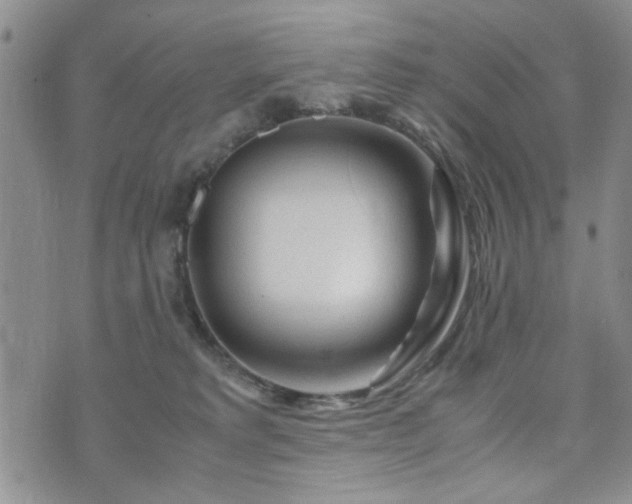 X0000071970229200607141507