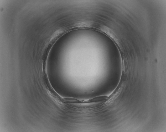 X0000071970253200607141507