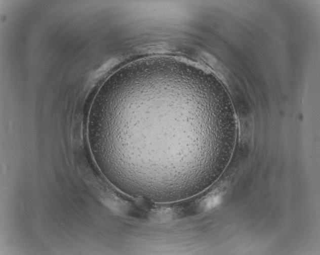 X0000071970301200607141506