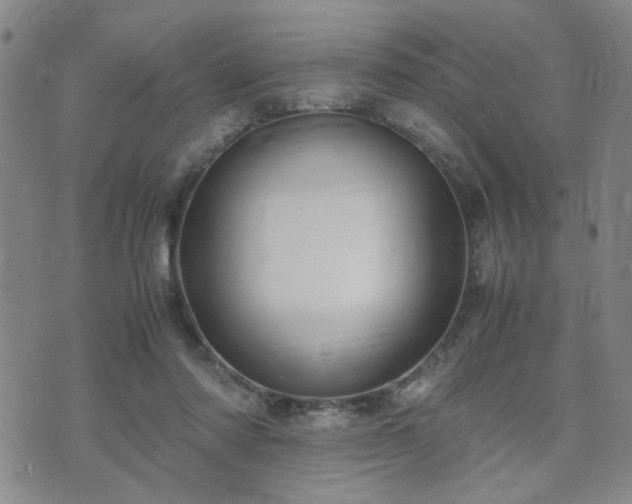 X0000071970310200607141506